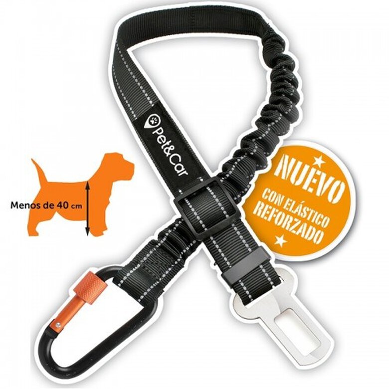 Cinturón de seguridad Foxtrot para perros pequeños color Naranja y negro, , large image number null