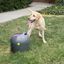 Lanzador de pelotas automático para perros color Gris, , large indicador imagen numero 3