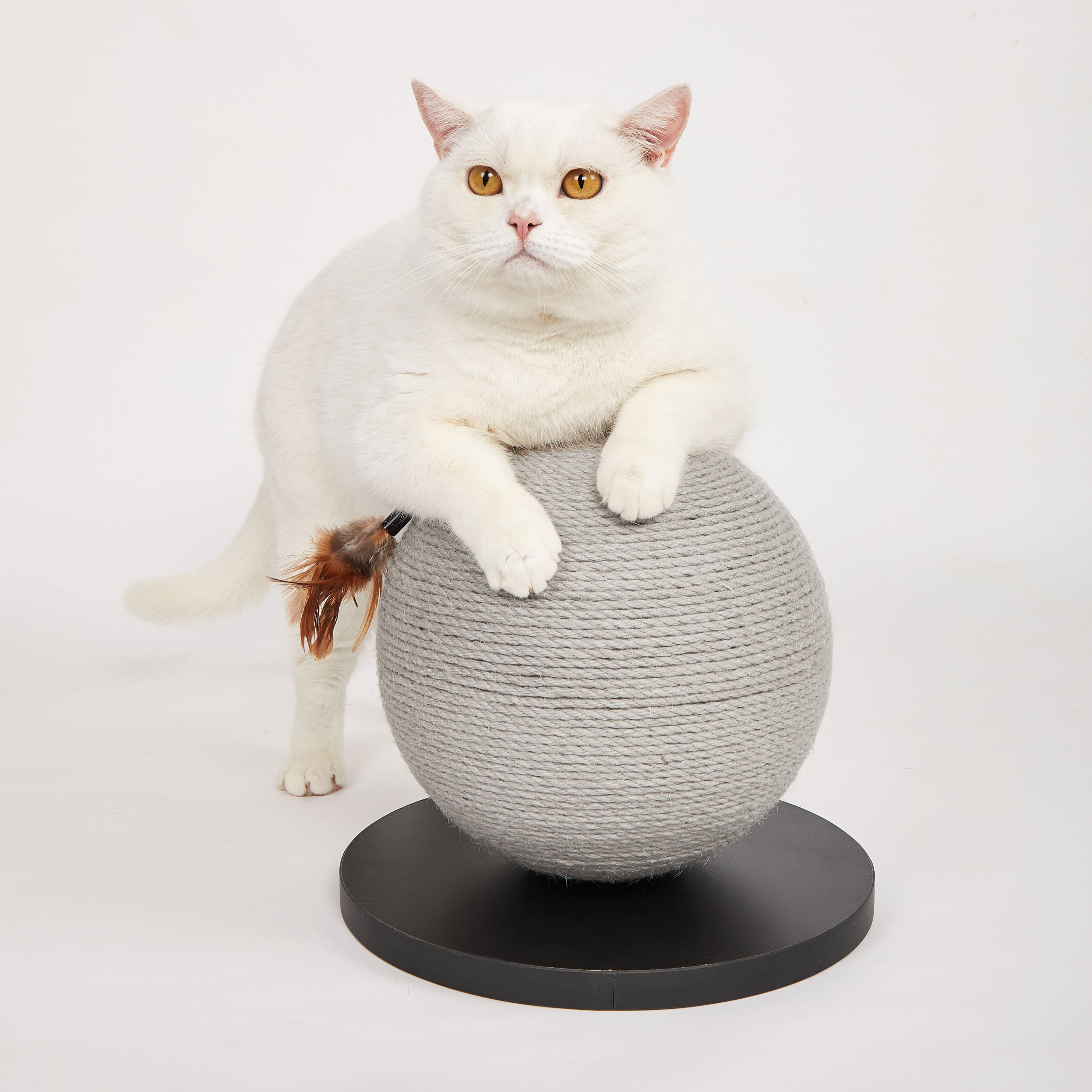 FOFOS | Rascador Bola (Gris) - Para Gato, , large Imagen numero 5