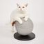FOFOS | Rascador Bola (Gris) - Para Gato, , large indicador imagen numero 5
