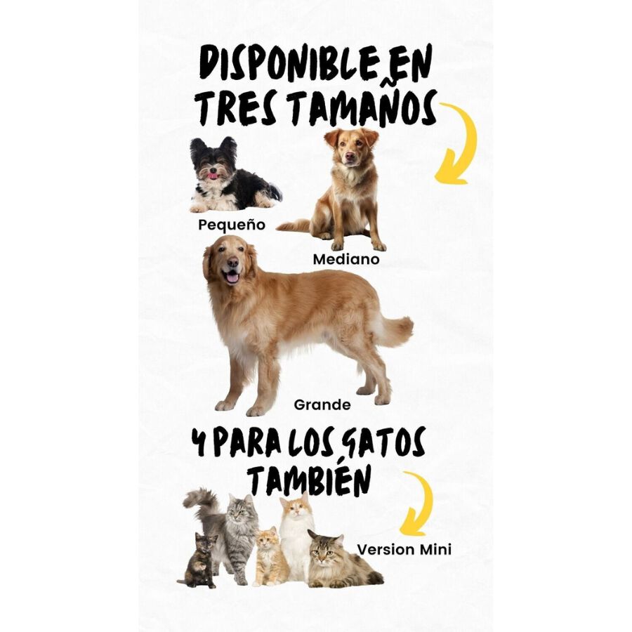 LIBREPETCAT, , large Imagen numero 3