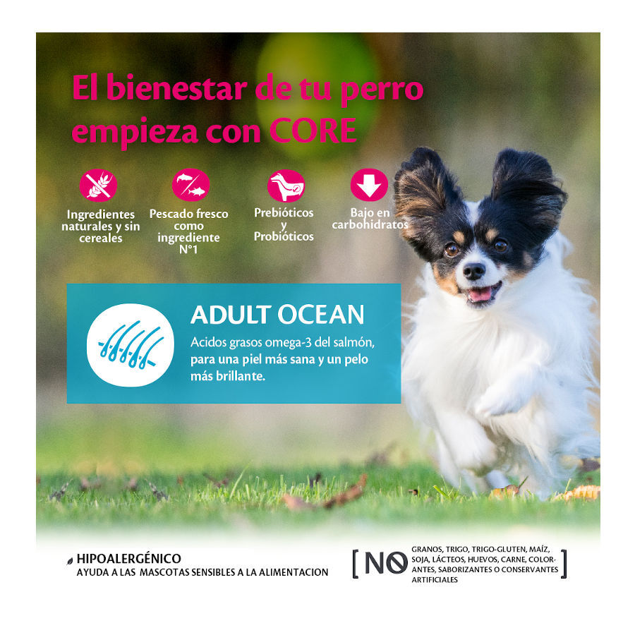 Wellness Core Adult Small Ocean Salmón y Atún pienso para perros thumbnail