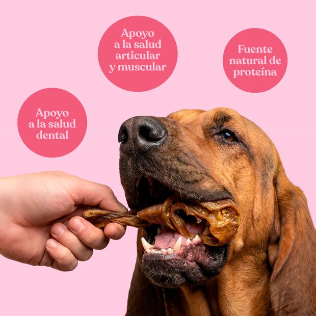 dr. bimix Tiras de Oreja de Cerdo para Perros | Snack Natural, , large Imagen numero 2