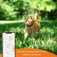 Weenect XS - GPS para gato (Negro), , large indicador imagen numero 3