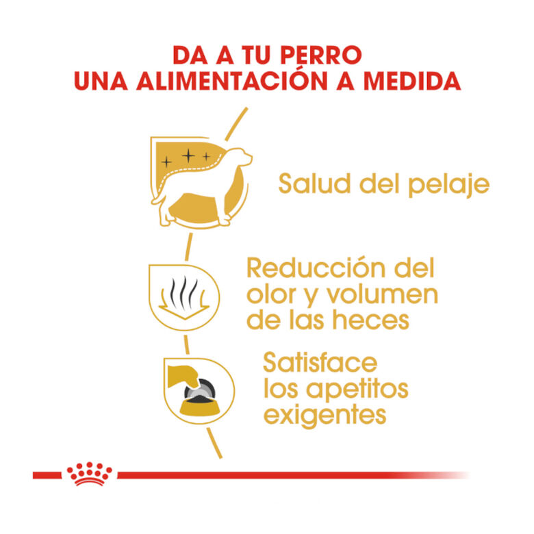 Royal Canin Adult Bichón Maltés pienso para perros thumbnail
