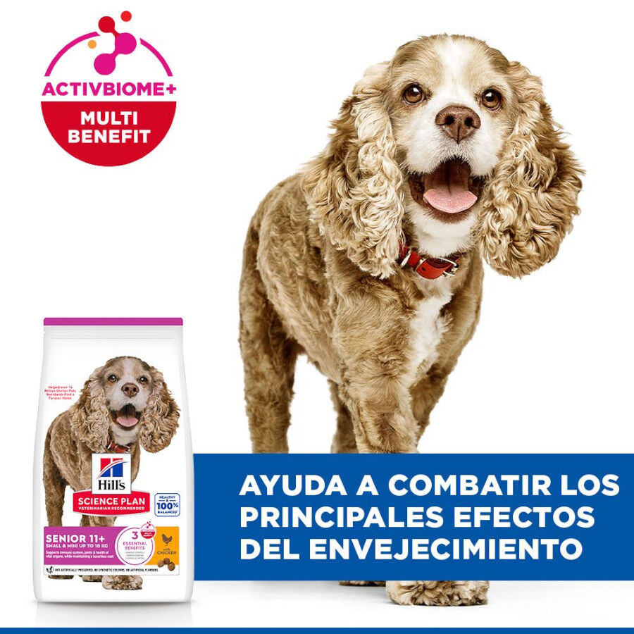1.5 kg Hill's Science Plan Senior 11+ Small y Mini pollo pienso para perros, , large Imagen numero 4