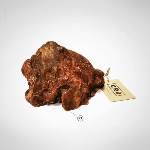 CRU mordedor de raiz de brezo para perros, , large Imagen numero 4