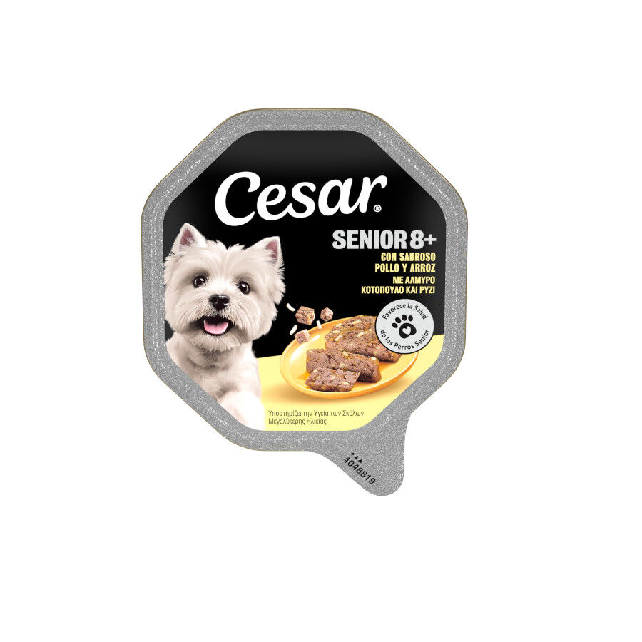 Tarrina Cesar en Gelatina para perros senior