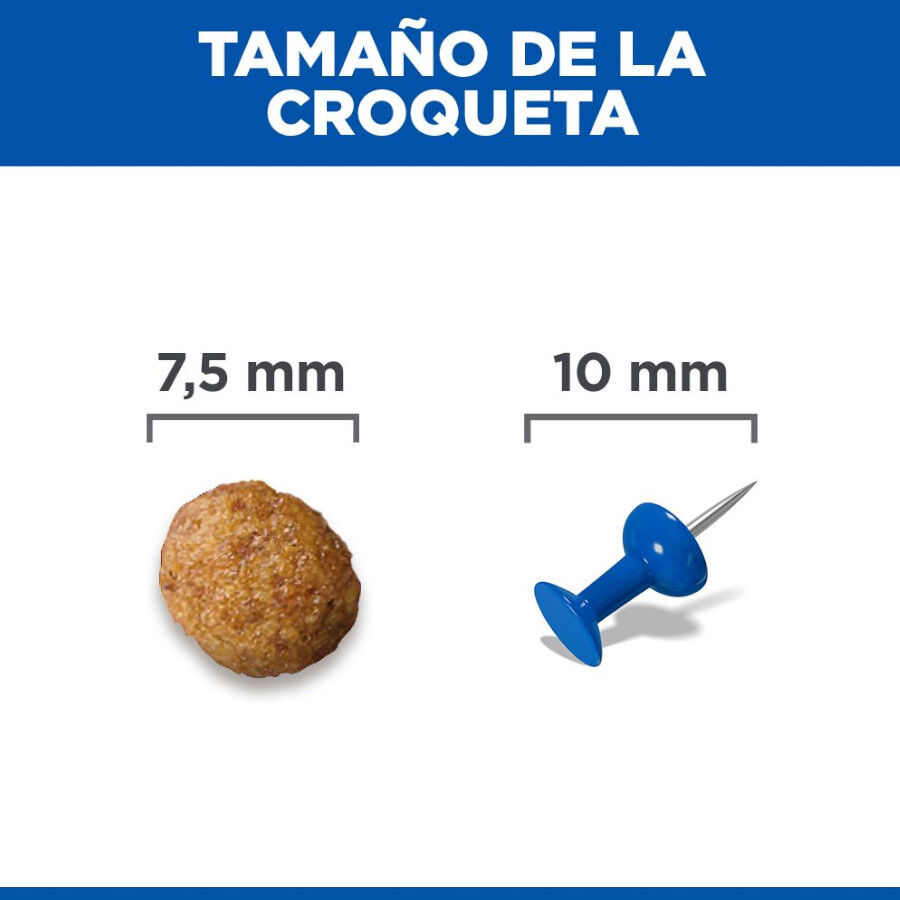 10 kg Hill's Science Plan Adult Small y Mini Pollo pienso para perros, , large Imagen numero 9