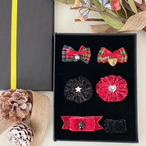 Cofre de 6 lazos para perros color Multicolor, , large Imagen numero 1