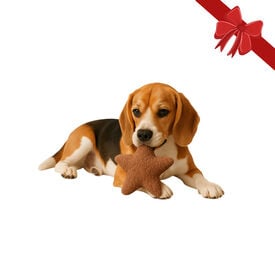 Wonder Christmas Peluche Estrella Navideña para perros