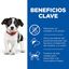Hill's Science Plan Puppy Small y Medium Pollo pienso para perros, , large indicador imagen numero 4