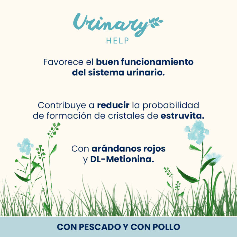 6 sobres x 70 g Almo Nature Urinary Help Pescado y Pollo sobre para gatos &ndash; Multipack, , large Imagen numero 2