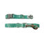 Gotoo Set Correa y Collar estampado con estrellas verde para perros, , large indicador imagen numero 1