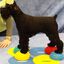 FitPAWS Accesorios de equilibrio para patas de mascotas 4 unidades, , large indicador imagen numero 2