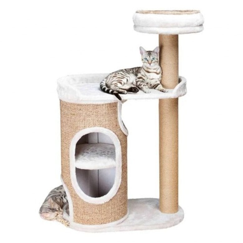 Poste rascador de interior para gatos