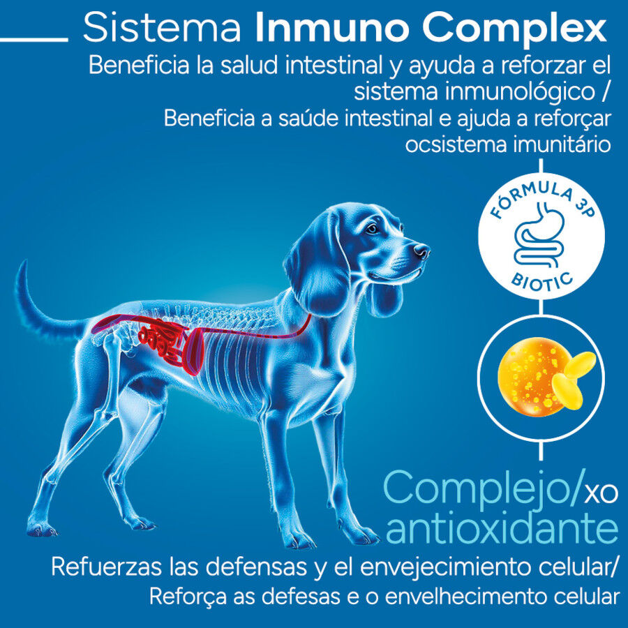 Criadores Cient&iacute;fico Adulto Medium Pienso Pollo para perros, , large Imagen numero 3
