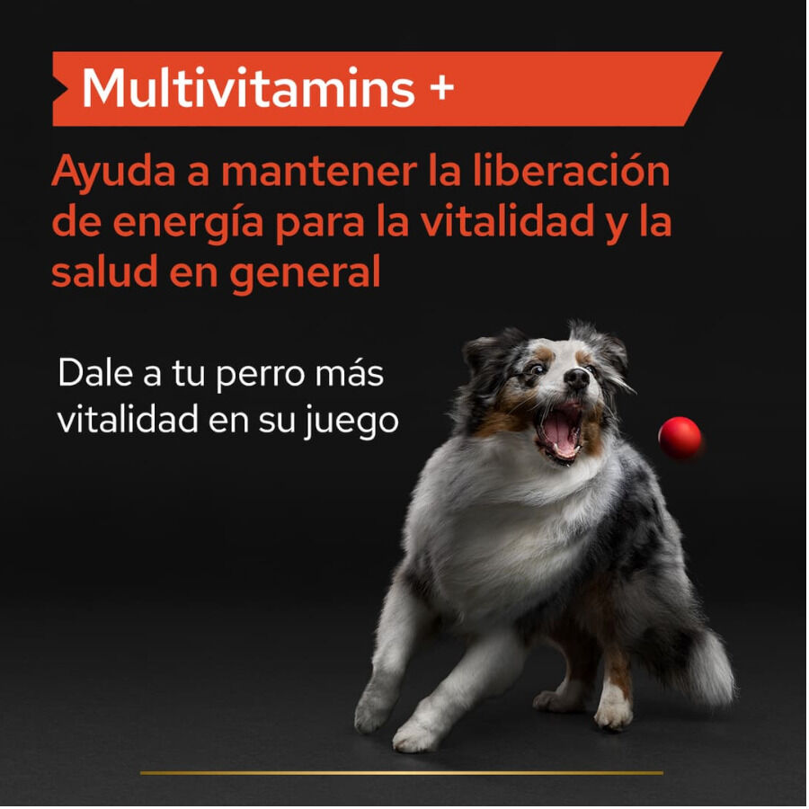 Pro Plan Multivitamin Suplemento para perros thumbnail