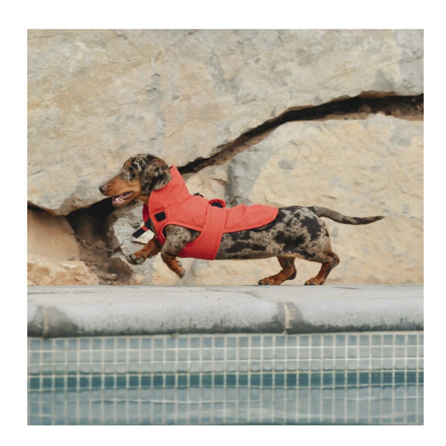 Freedog Paw Shield Rojo Abrigo Impermeable para perros thumbnail