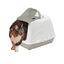 Nice Care Arenero Mega Flip Large Verde para gatos, , large indicador imagen numero 1