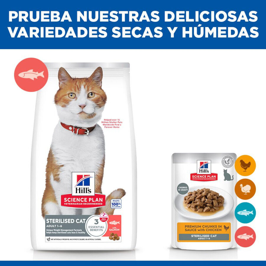 10 kg Hill's Science Plan Sterilised Adult Salm&oacute;n pienso para gatos, , large Imagen numero 8