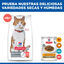 10 kg Hill's Science Plan Sterilised Adult Salm&oacute;n pienso para gatos, , large indicador imagen numero 8
