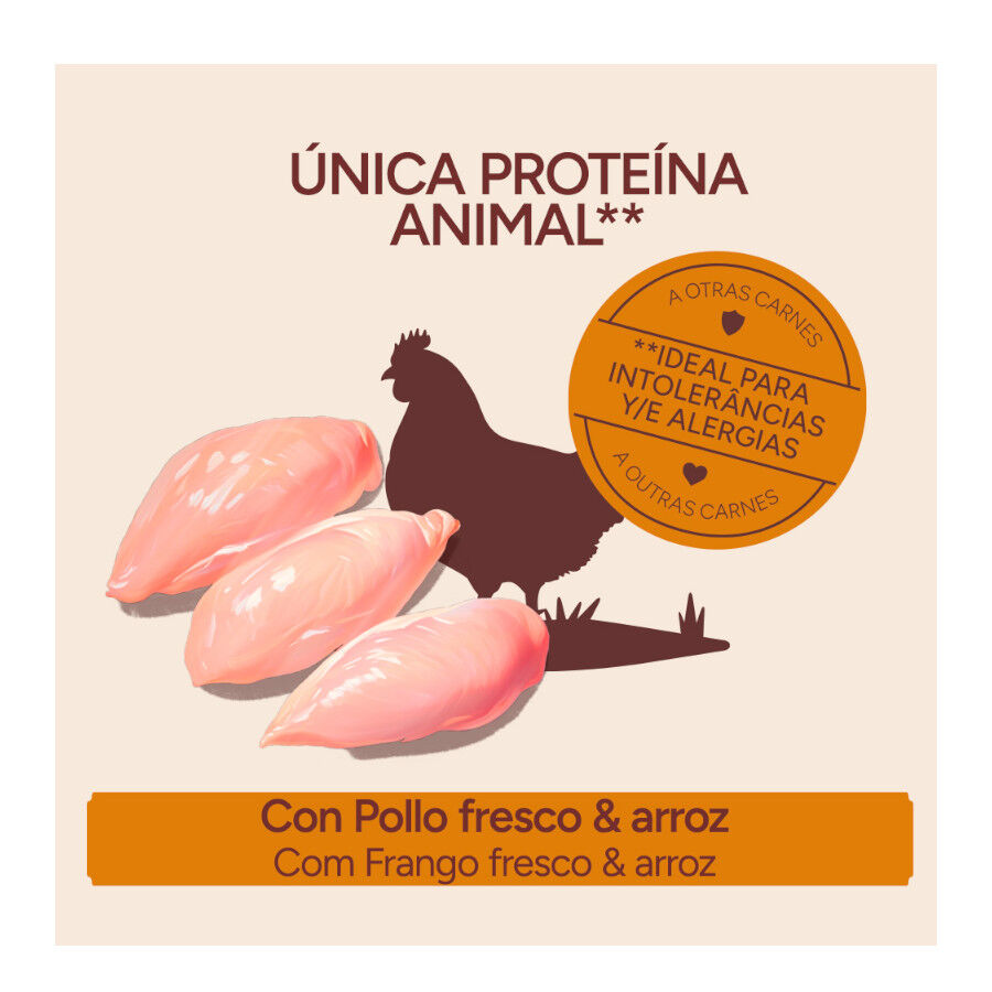 10 kg Criadores Monoproteico Adulto con Pollo pienso para perros, , large Imagen numero 3