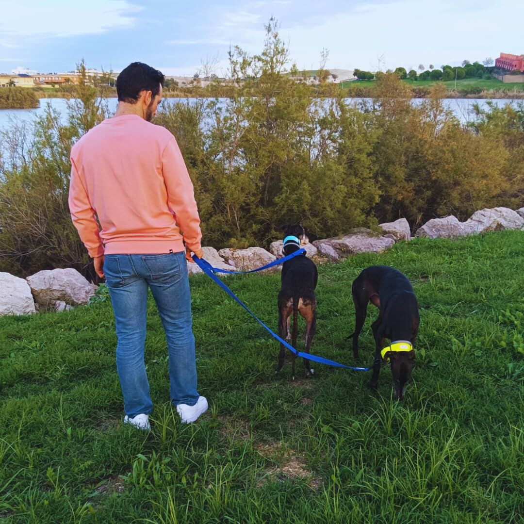EGV - Correa multiposicion perro con doble asa de neopreno. Correa perro manos libres de 2,50 metros de longitud. (Azul el&eacute;ctrico), , large Imagen numero 5