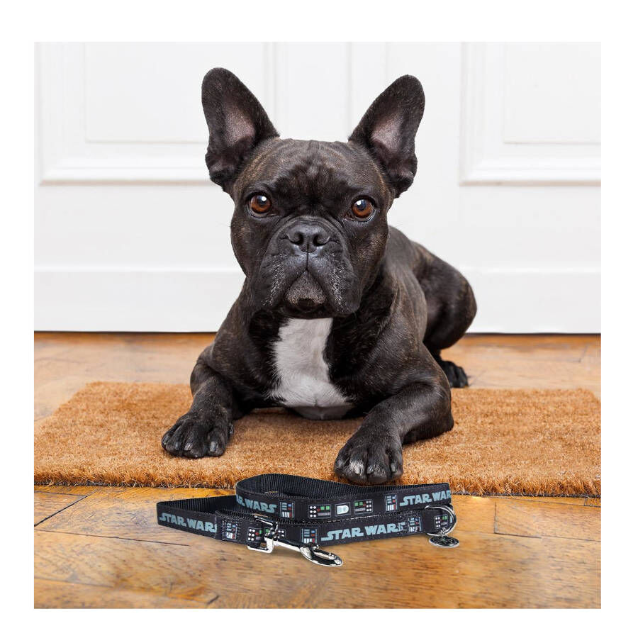 Disney Star Wars Correa Estampado para perros, , large Imagen numero 3