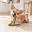 Tootoy! Chew Hueso Martillo Pollo Juguete para perros, , large indicador imagen numero 1