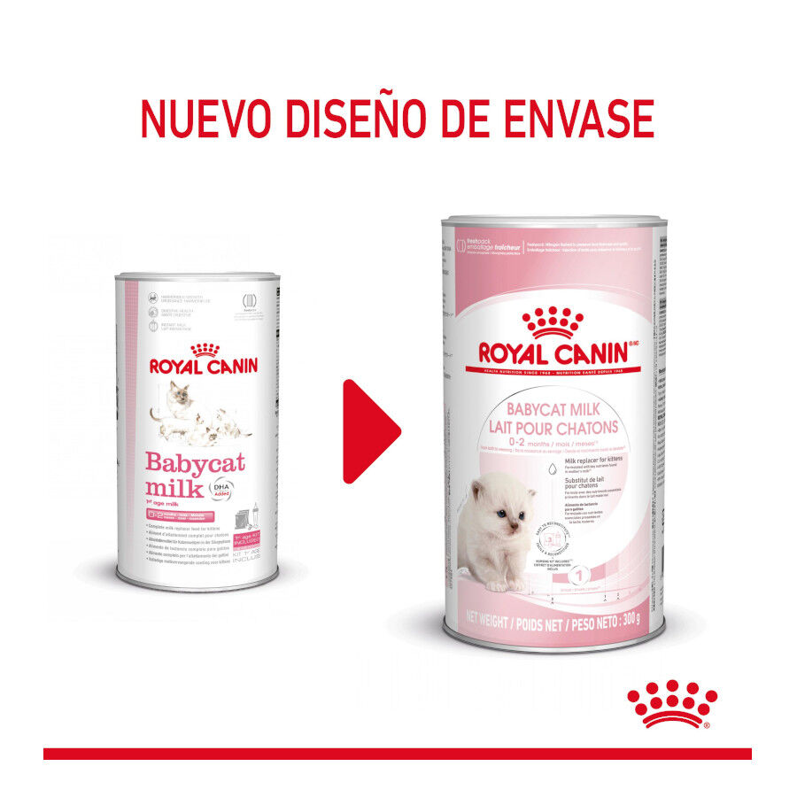 300 g Royal Canin Leche para gatitos primer a&ntilde;o, , large Imagen numero 2
