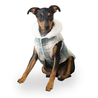 Outech Trenca Azul para perros