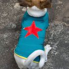 Camiseta para perros Willy Star Runner color azul, , large image number null