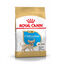 1.5 kg Royal Canin Puppy Chihuahua pienso para cachorros, , large indicador imagen numero 1