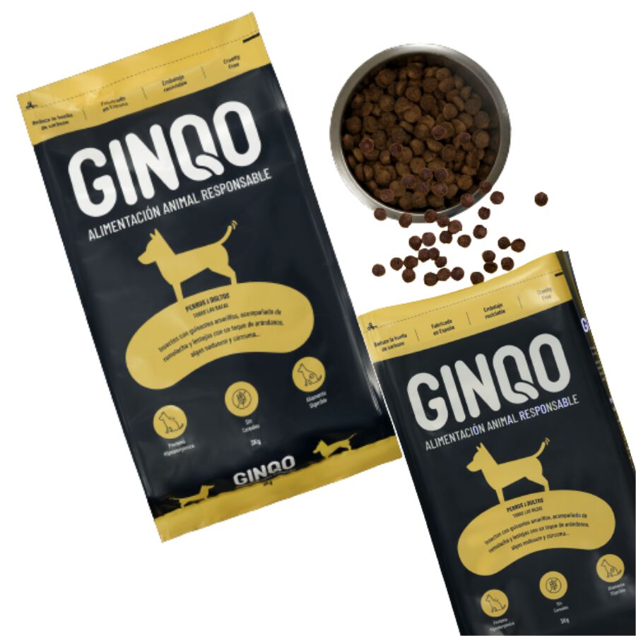 GINQO PERROS ADULTOS: HYPOALERG&Eacute;NICO, GRAIN FREE Y SOSTENIBLE. HECHO CON PROTEINA DE INSECTOS, , large Imagen numero 2