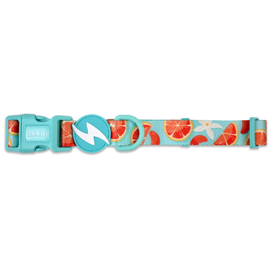 Collar Eco Caribe, , large Imagen numero 2