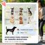 PawHut Cochecito para Perros Azul, , large indicador imagen numero 4