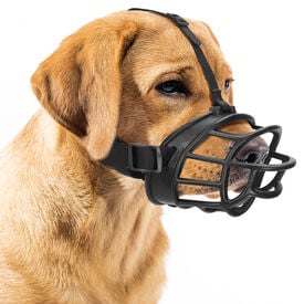 Nobleza Bozal para perros