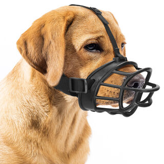 Nobleza Bozal para perros