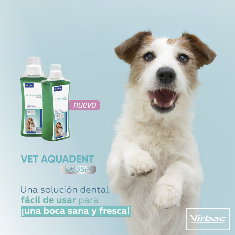 Virbac Vet Aquadent Enjuague Bucal para perros y gatos, , large image number null