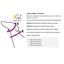 Galguita amelie martingale nickcolors collar multicolor para perros, , large indicador imagen numero 4