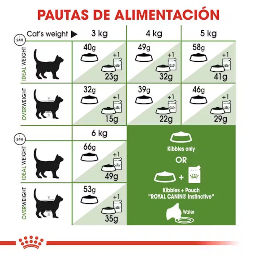 Royal Canin Active Life Outdoor pienso para gatos thumbnail