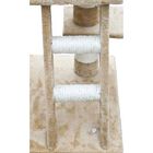 Rascador de felpa gimnasio para gatos color Beige, , large image number null