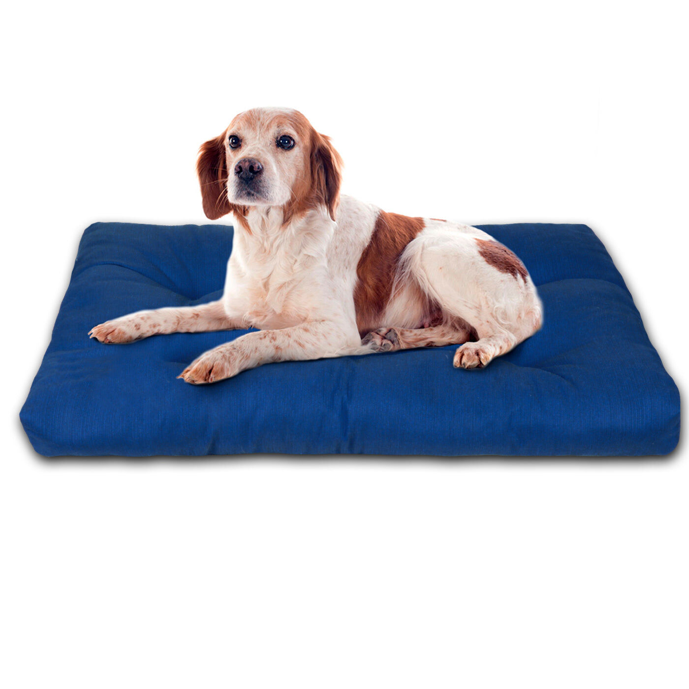 HOME MERCURY- Cama de Mascota, Colch&oacute;n para Perro, Colchoneta Reversible Estampada Relleno de Espuma para Interior y Exterior. (Medium, Azul), , large Imagen numero 1