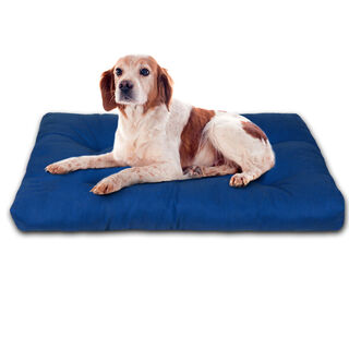 Home Mercury Colchón Azul para Perros