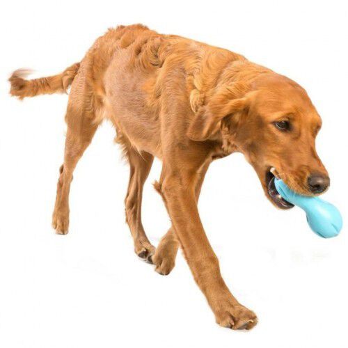 Juguete dispensador de premios para perros color Azul, , large Imagen numero 5