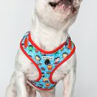 My Pug & Co. Arnés Superpup Rojo-Azul para perros, , large image number null
