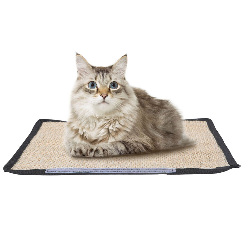 Almohadilla rascador para gatos, 23.6 x 15.7 pulgadas, de sisal natural, 6  unidades, protector de muebles para arañazos de gatos, protector