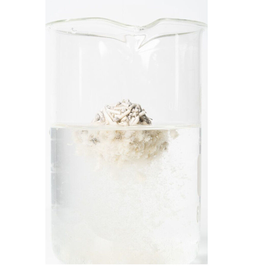 Arena vegetal mixta para gatos (tofu+bentonita) - 9.6kg, , large Imagen numero 5