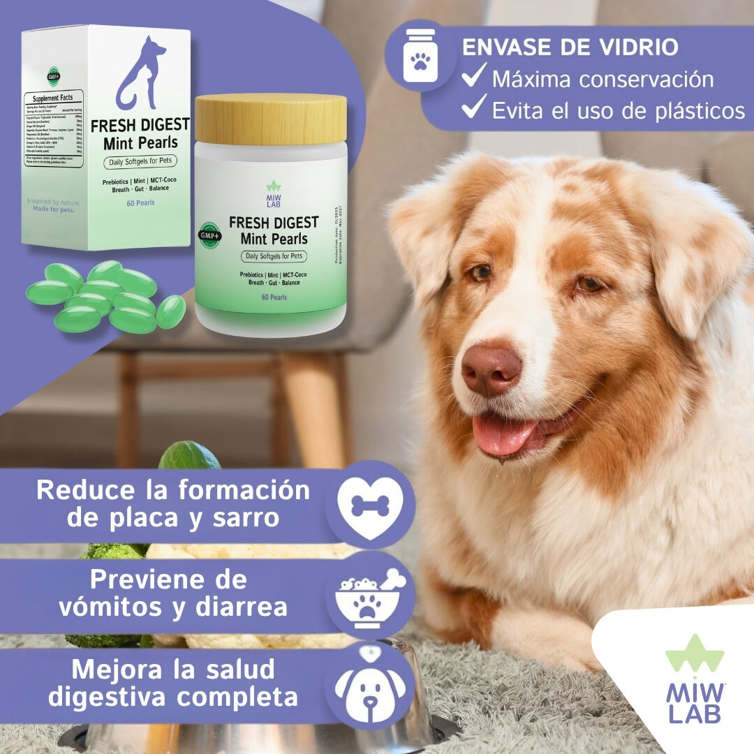 Prebioticos con Menta para el Mal Aliento de Perros y Gatos | Suplemento Veterinario con Enzimas para Salud Digestiva Completa Perro y Gato Reparador y Refrescante Flora Intestinal Olor Placa y Sarro thumbnail